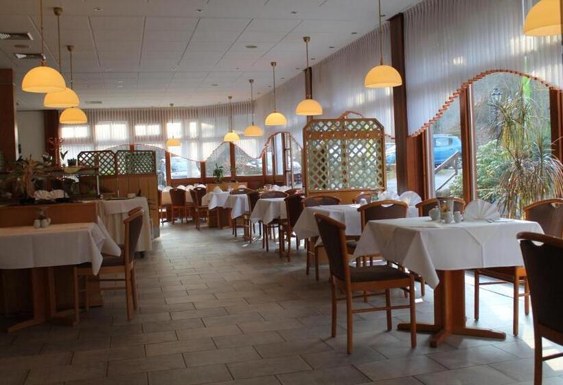 Kurpark Flair Hotel Im Ilsetal