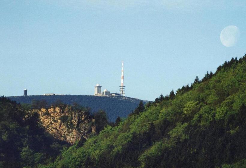 Kurpark Flair Hotel Im Ilsetal