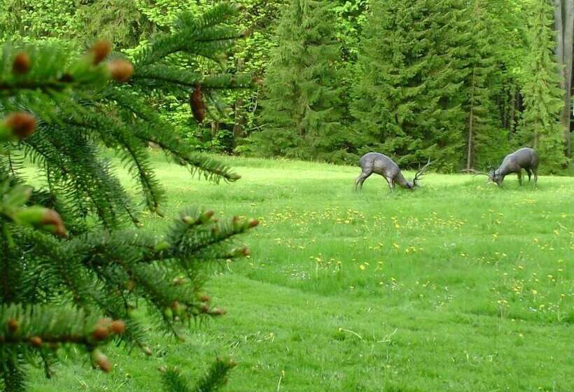 Berg & Spa Hotel Gabelbach