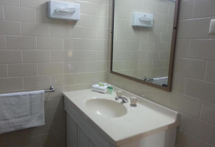 בית מלון כפרי Big Valley Lakeside Paradise Motor Inn