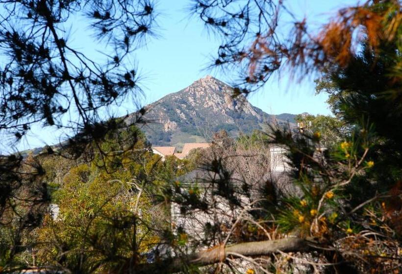 בית מלון כפרי Buena Vista  San Luis Obispo