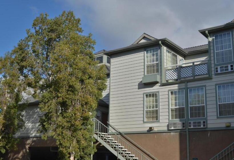 בית מלון כפרי Buena Vista  San Luis Obispo