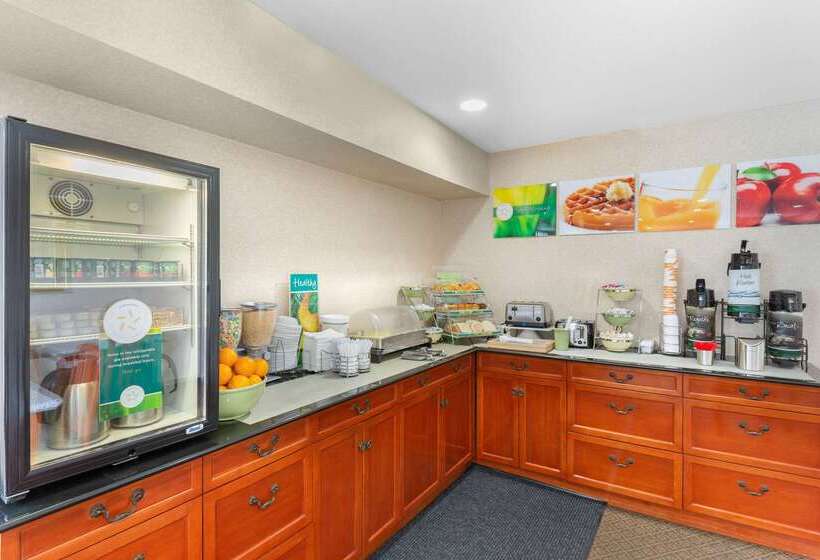 酒店 Quality Inn & Suites Oceanside Near Camp Pendleton