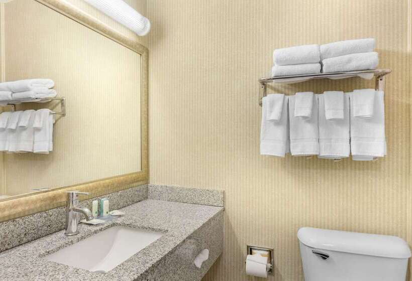 酒店 Quality Inn & Suites Oceanside Near Camp Pendleton