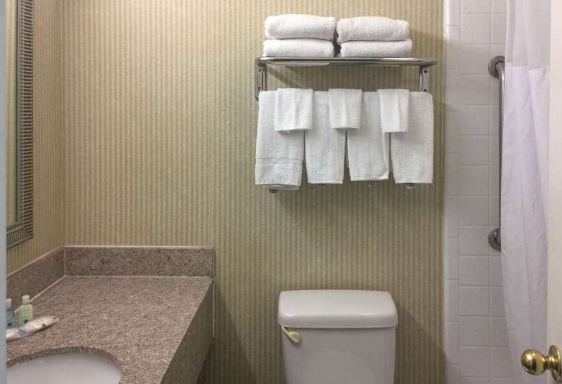 酒店 Quality Inn & Suites Oceanside Near Camp Pendleton