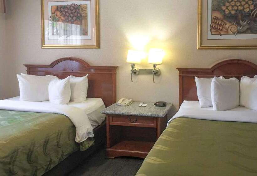 酒店 Quality Inn & Suites Oceanside Near Camp Pendleton