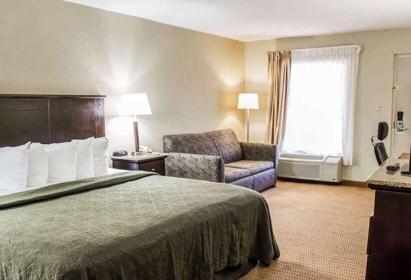 ホテル Quality Inn & Suites