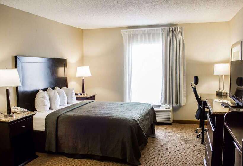 ホテル Quality Inn & Suites