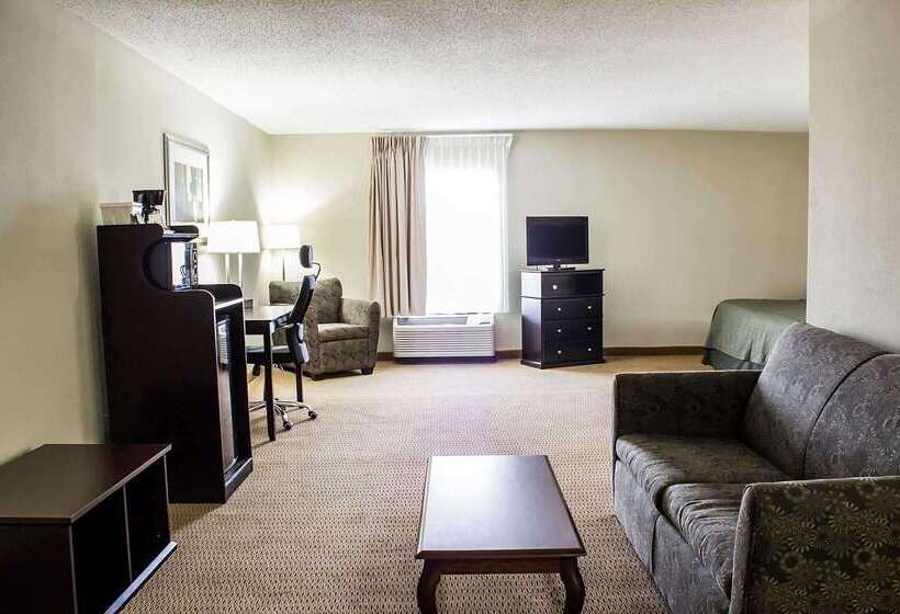 ホテル Quality Inn & Suites