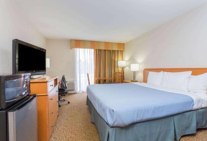 בית מלון כפרי Red Roof Inn Plus+ Neptune Beach  Jacksonville Beach