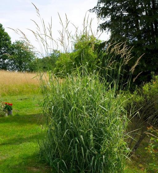 ホテル Reweschnier