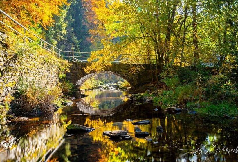 هتل Schwarzbeerschanke Pobershau