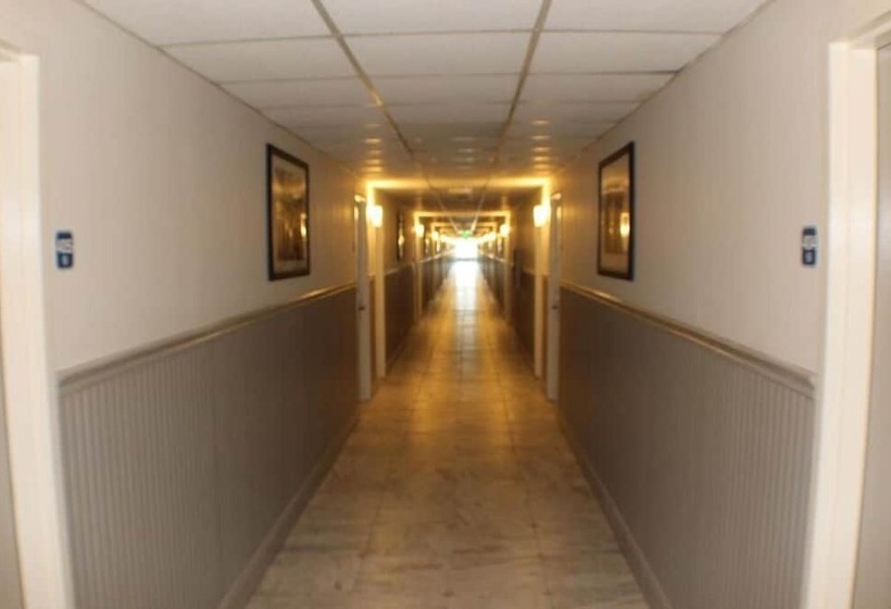 فندق Araamda Inn