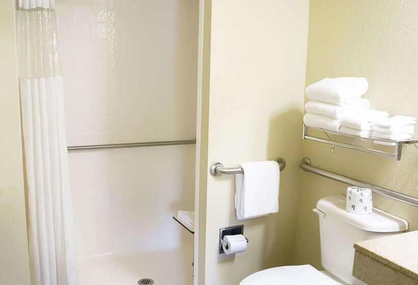 فندق Best Western Branson Inn And Conference Center