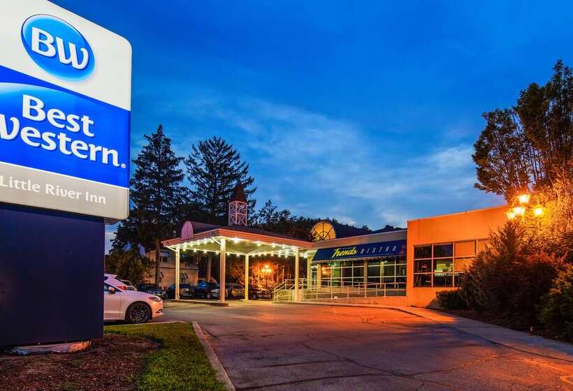 酒店 Best Western Little River Inn