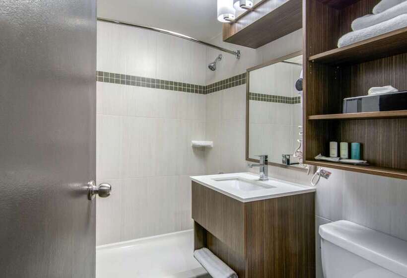 فندق Clarion