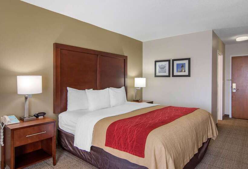 酒店 Comfort Inn Chester  Richmond South