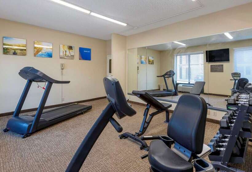 ホテル Comfort Inn Elizabeth City Near University