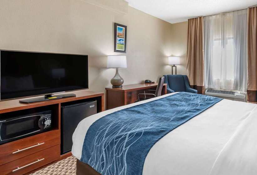 בית מלון כפרי Comfort Inn Near Kokomo Speedway