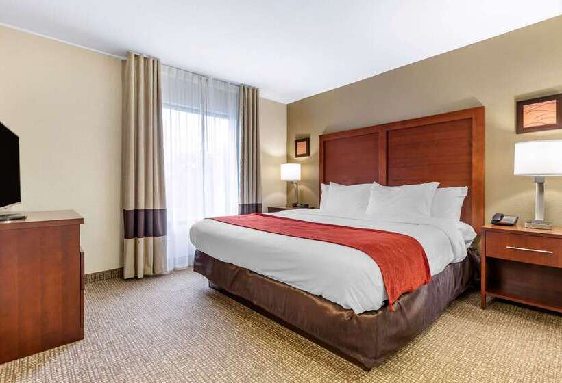 هتل Comfort Inn & Suites Clemson  University Area