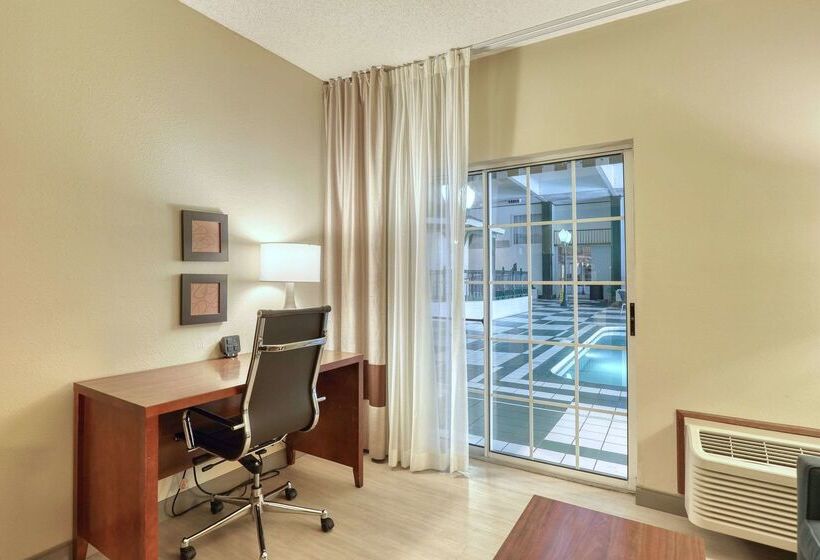 هتل Comfort Suites Appleton Airport