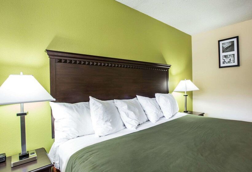 هتل Econo Lodge Biltmore