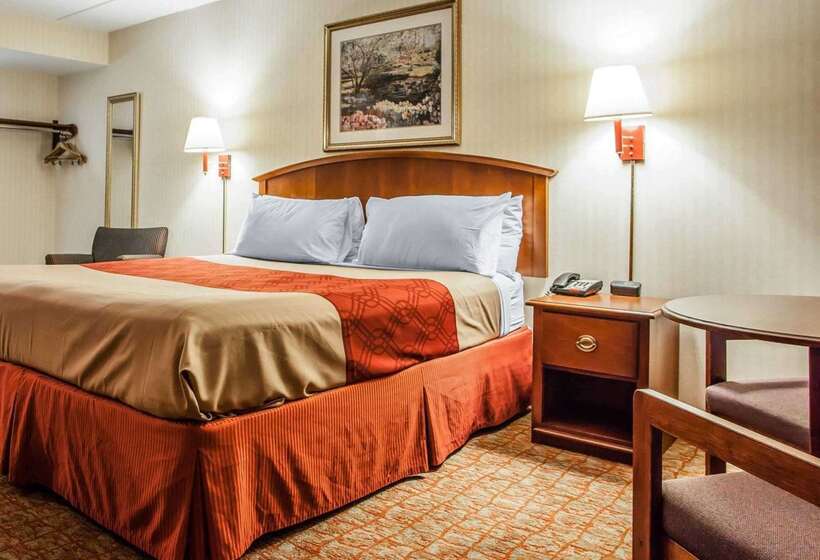 Отель Econo Lodge Douglassville Pottstown