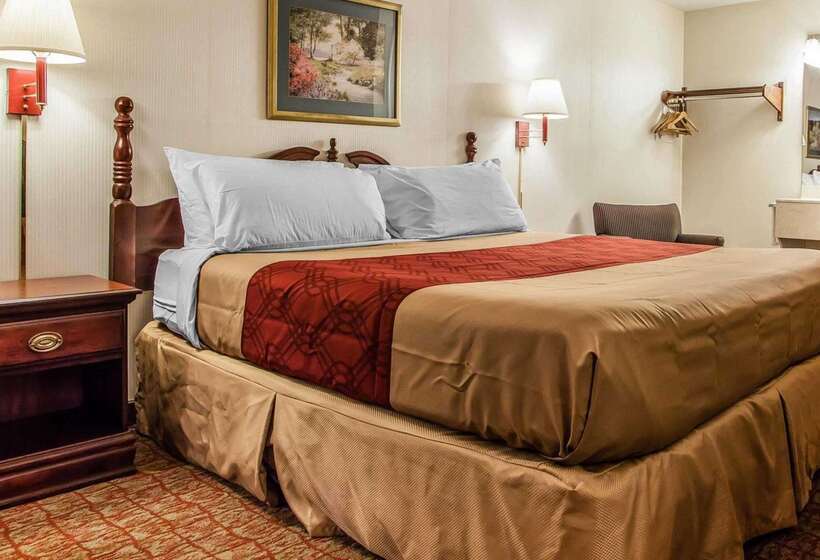 Отель Econo Lodge Douglassville Pottstown