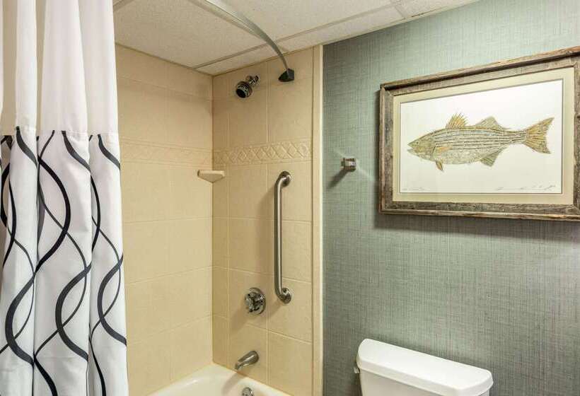 Edgar Hotel Martha S Vineyard, Ascend Hotel Collection