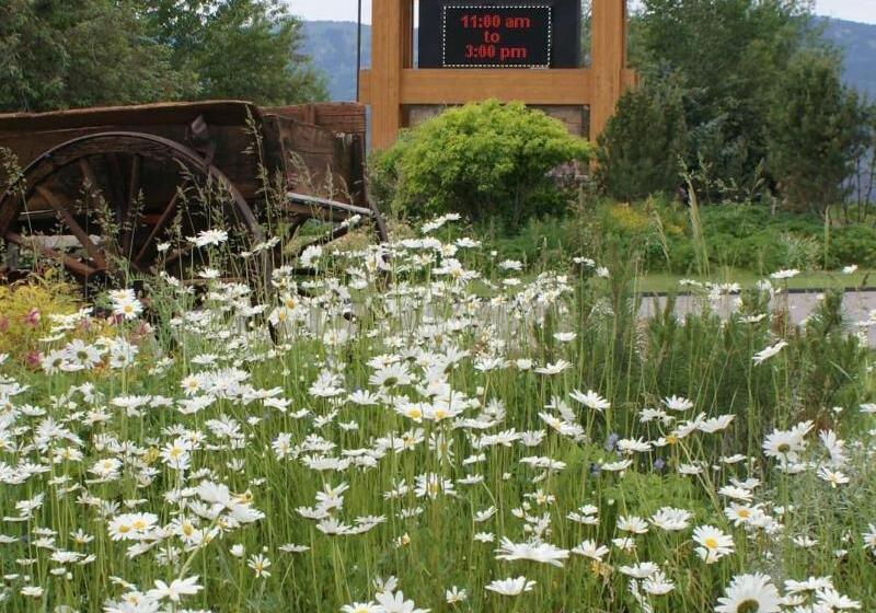 فندق Flying Saddle Resort And Steak House