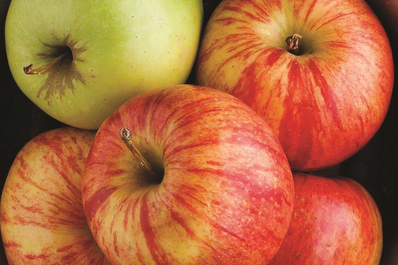 فندق La Quinta Inn & Suites By Wyndham Dothan