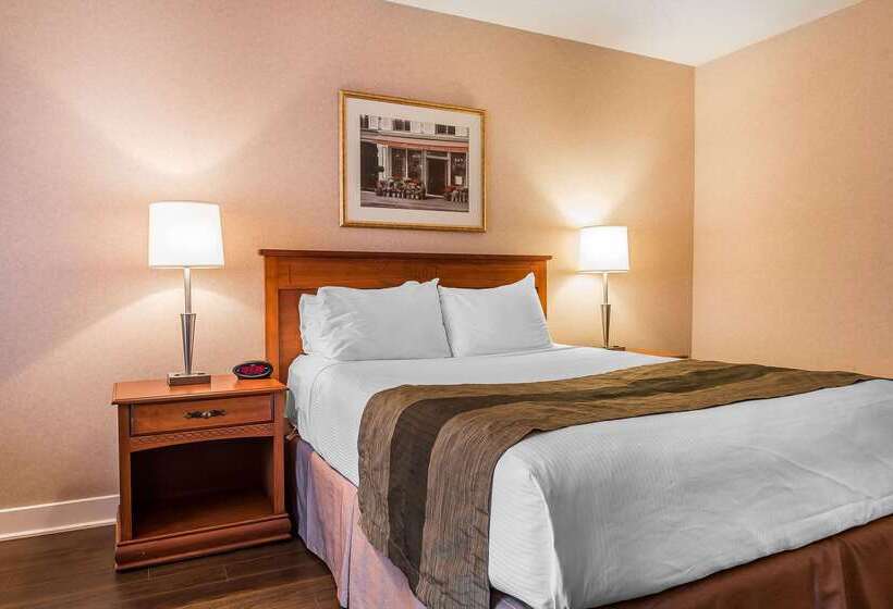 ホテル Quality Inn & Suites