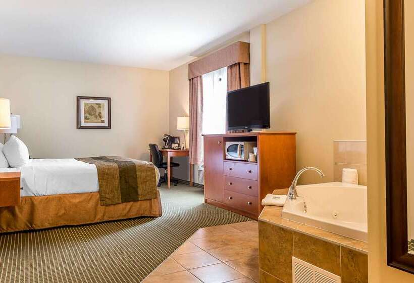 ホテル Quality Inn & Suites
