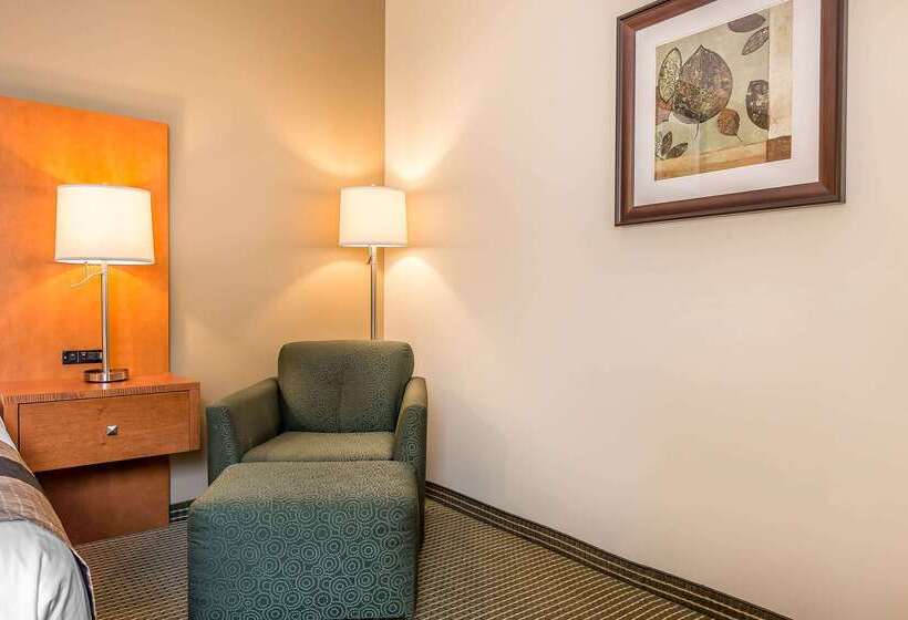 ホテル Quality Inn & Suites