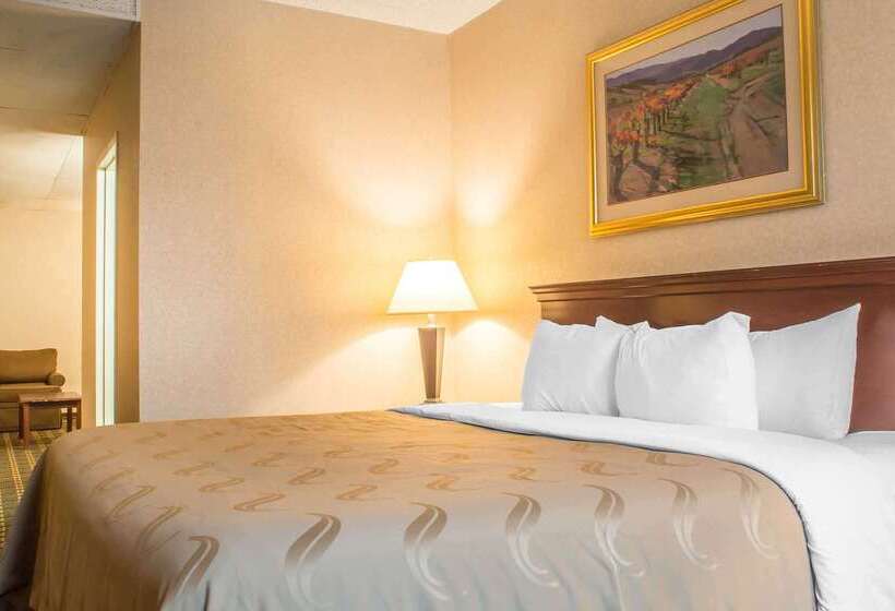 فندق Quality Inn & Suites Palm Island Indoor Waterpark