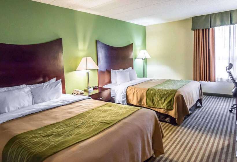 ホテル Quality Inn Mill Hall   Lamar
