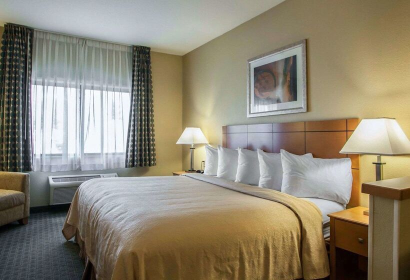 酒店 Quality Inn Near I72 And Hwy 51