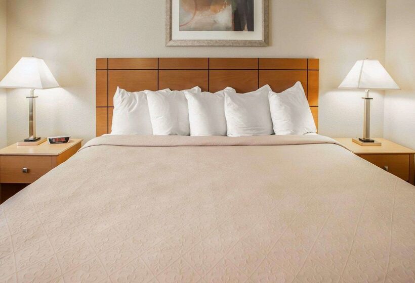 酒店 Quality Inn Near I72 And Hwy 51