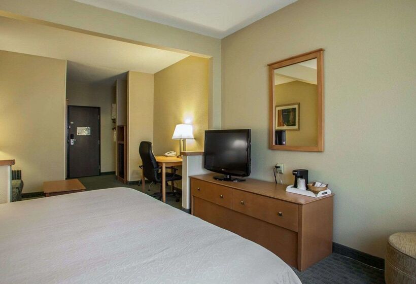 酒店 Quality Inn Near I72 And Hwy 51