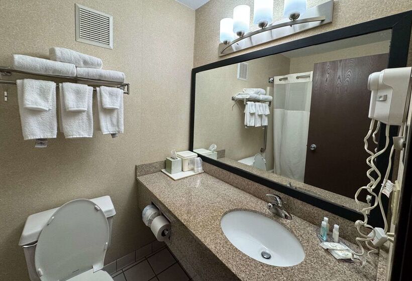 酒店 Quality Inn Near I72 And Hwy 51