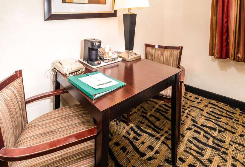 酒店 Quality Inn & Suites