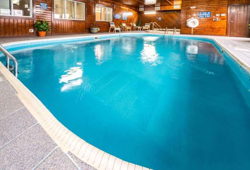 酒店 Quality Inn & Suites