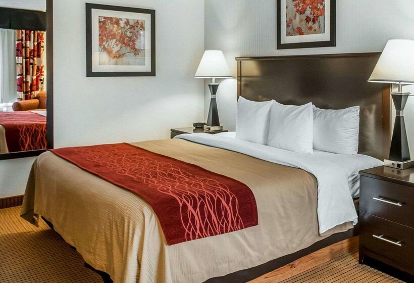 هتل Quality Inn & Suites Farmington