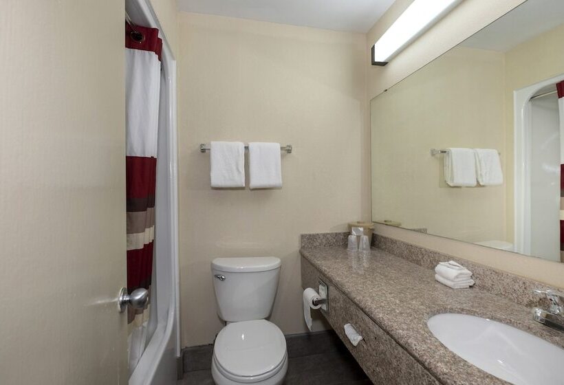 בית מלון כפרי Red Roof Inn Charlotte  University