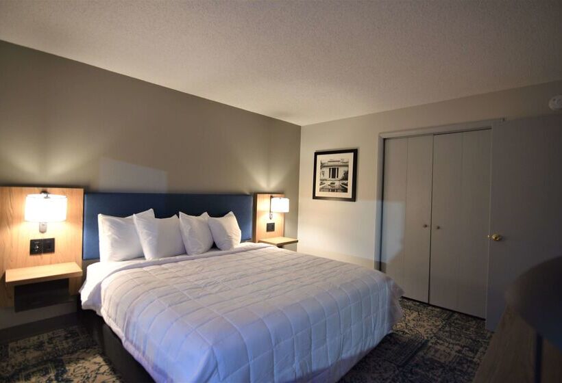 ホテル Baymont By Wyndham Pine Grove I 81