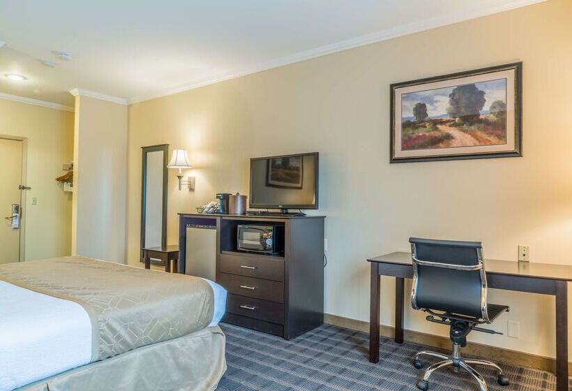 호텔 Best Western Inn & Suites