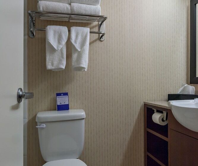 בית מלון כפרי Best Western Plus Suites Downtown Calgary