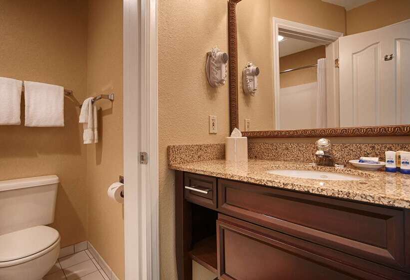 호텔 Best Western Salbasgeon Inn & Suites