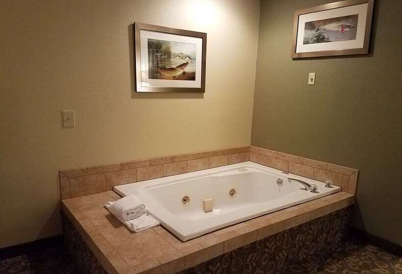 호텔 Best Western Salbasgeon Inn & Suites