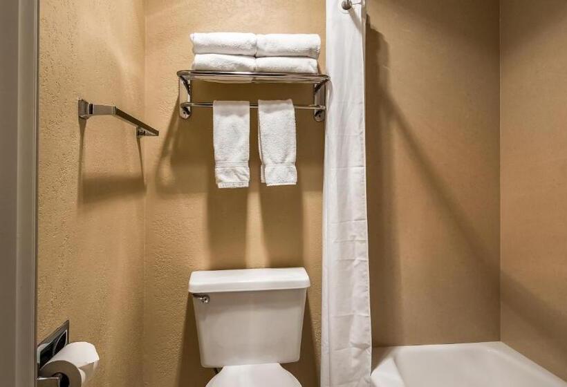 호텔 Best Western Salbasgeon Inn & Suites